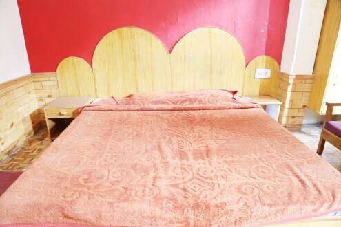 Hotel Snow Mountain, Manali 3
